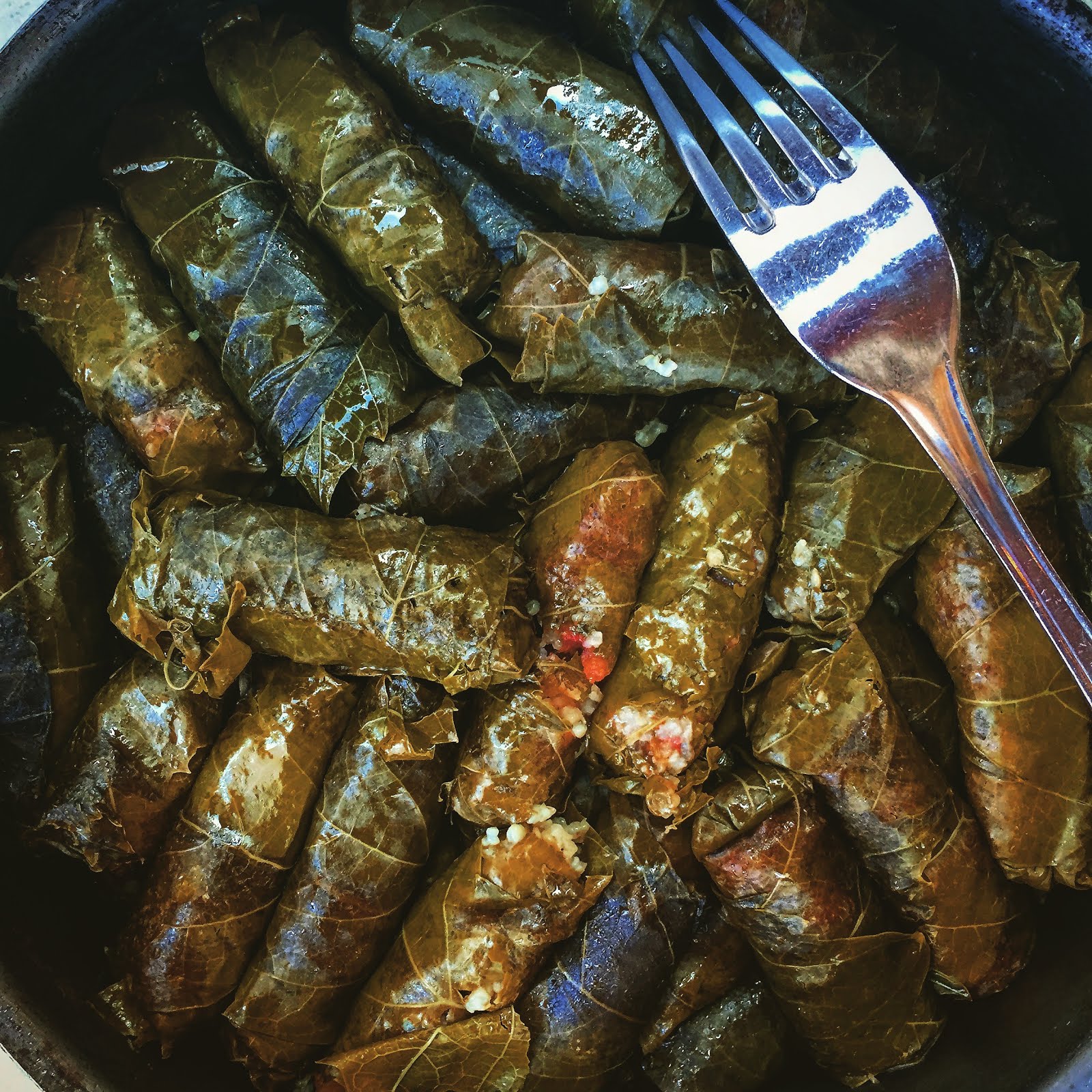 Dolmades by Kerstin Rodgers for winetrust