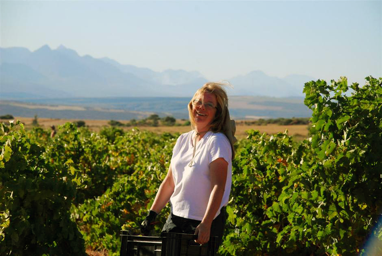 Botanica Wines South Africa
