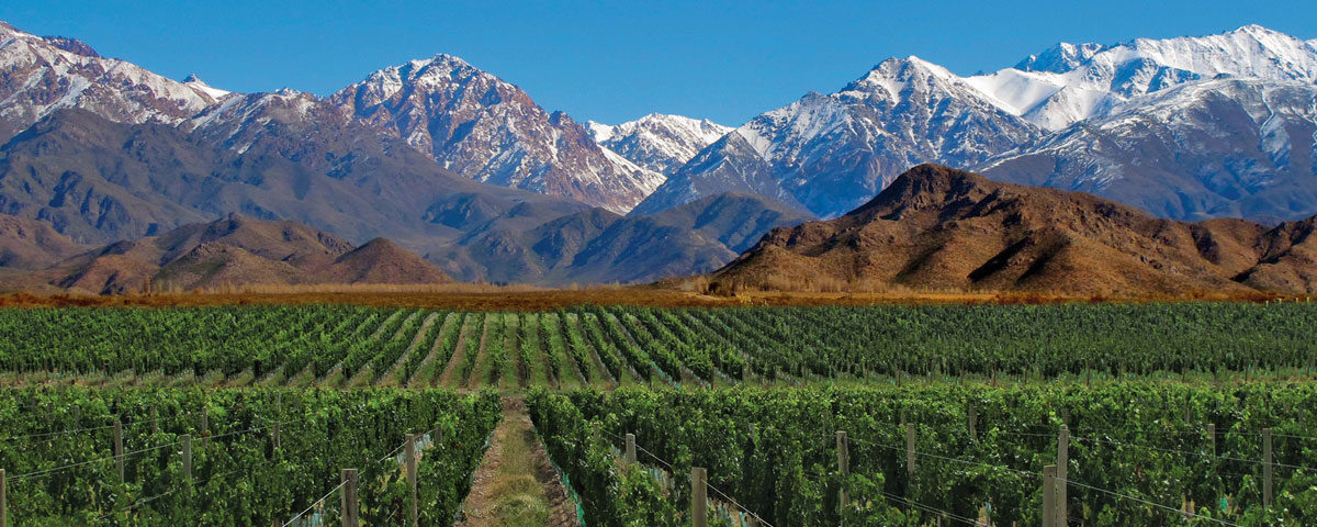 Mendoza Andes Argentina wines
