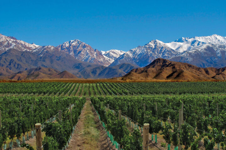 Mendoza Andes Argentina wines